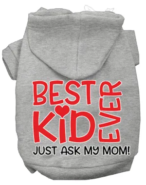 Ask My Mom Screen Print Dog Hoodie Grey L